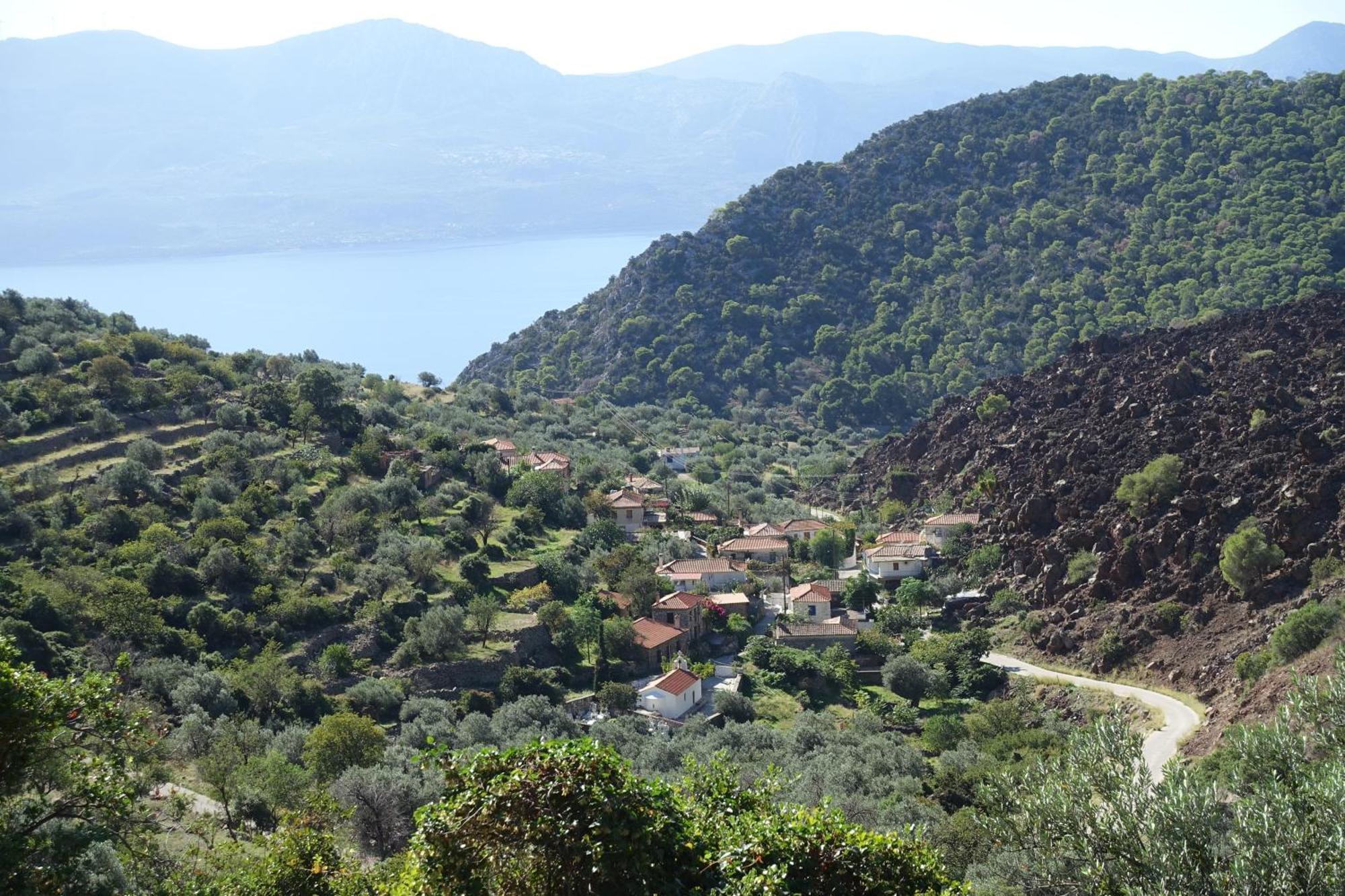 Studio In Villa In Kalloni Direkt Am Meer Екстериор снимка