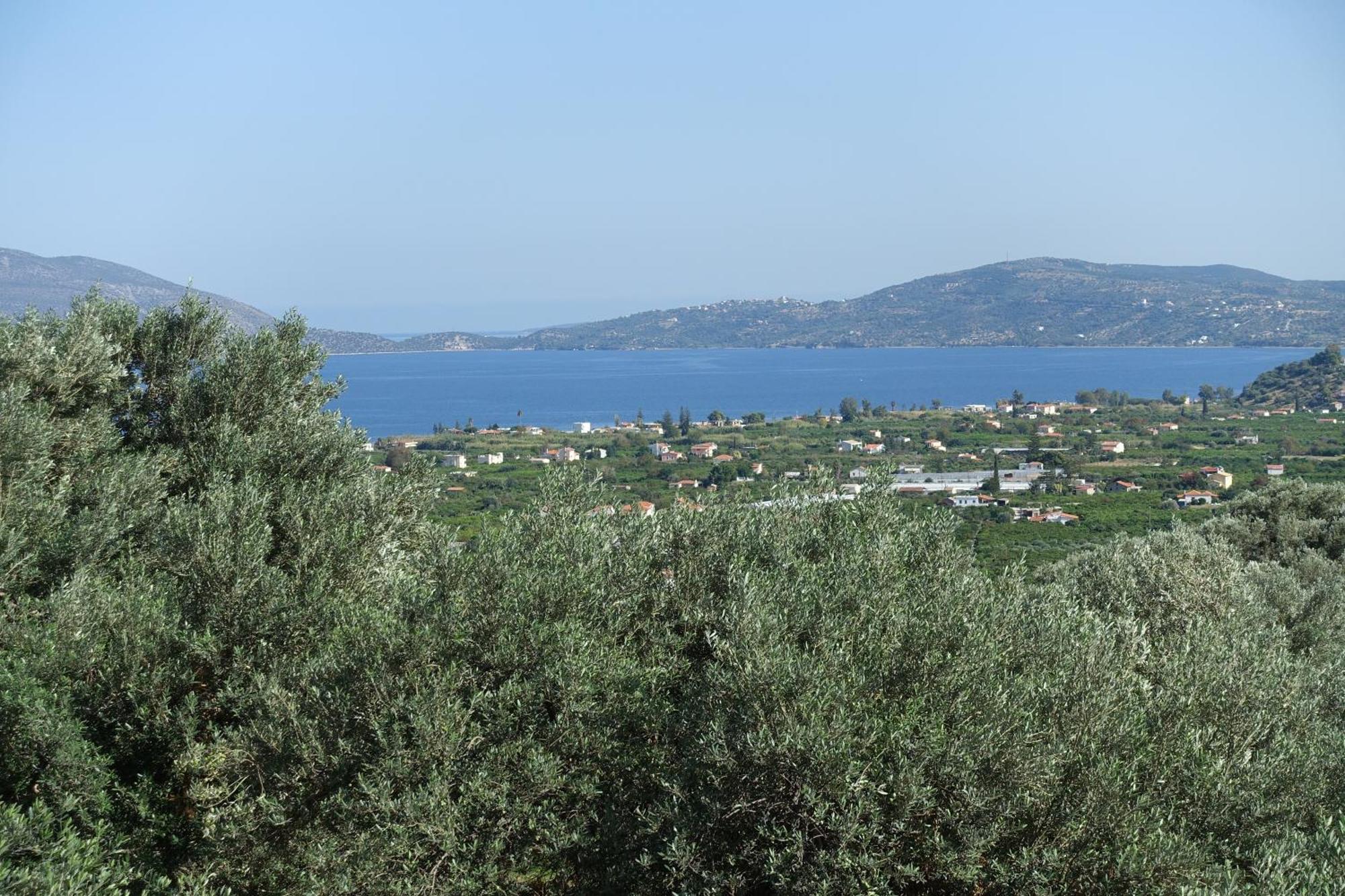 Studio In Villa In Kalloni Direkt Am Meer Екстериор снимка
